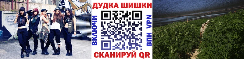 Марихуана марихуана  Суздаль 